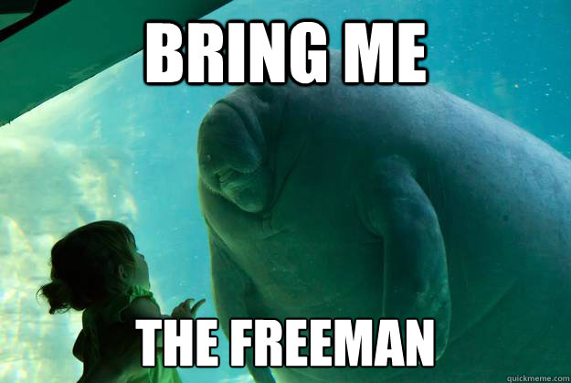 Bring Me The Freeman  Overlord Manatee