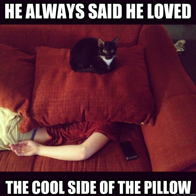 He Always Said He Loved THE COOL SIDE OF THE PILLOW - He Always Said He Loved THE COOL SIDE OF THE PILLOW  jealous cat