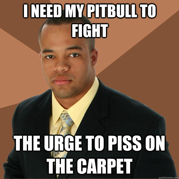 I need my pitbull to fight The urge to piss on the carpet - I need my pitbull to fight The urge to piss on the carpet  Successful Black Man