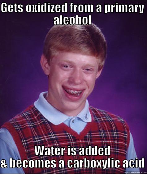 GETS OXIDIZED FROM A PRIMARY ALCOHOL WATER IS ADDED & BECOMES A CARBOXYLIC ACID Bad Luck Brian