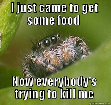 I JUST CAME TO GET SOME FOOD  NOW EVERYBODY'S TRYING TO KILL ME Misunderstood Spider