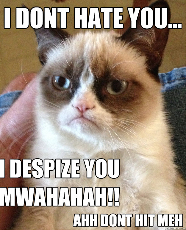 i dont hate you... i despize you mwahahah!! AHH dont hit meh  Grumpy Cat