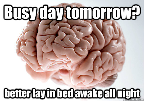 Busy day tomorrow? better lay in bed awake all night  - Busy day tomorrow? better lay in bed awake all night   Scumbag Brain