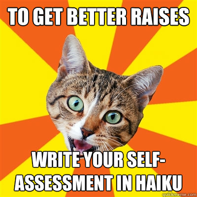 To get better raises Write your self-assessment in Haiku  Bad Advice Cat