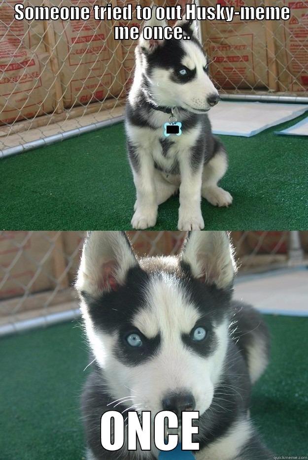 SOMEONE TRIED TO OUT HUSKY-MEME ME ONCE.. ONCE Insanity puppy