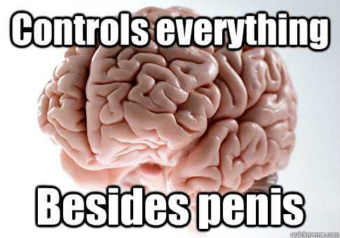 Controls everything  Besides penis  Scumbag Brain