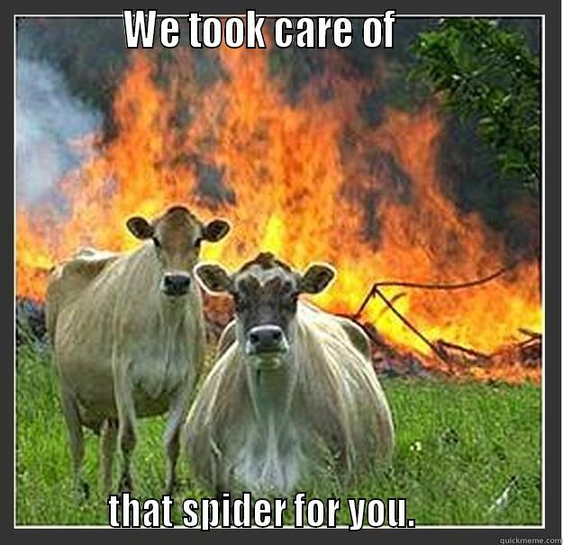              WE TOOK CARE OF                               THAT SPIDER FOR YOU.                  Evil cows