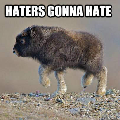 HATERS GONNA HATE - HATERS GONNA HATE  Cute Bison