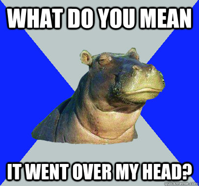 What do you mean It went over my head? - What do you mean It went over my head?  Skeptical Hippo