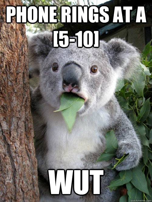 Phone rings at a [5-10] WUT  koala bear