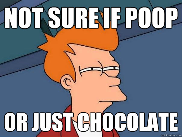 not sure if poop or just chocolate - not sure if poop or just chocolate  Futurama Fry