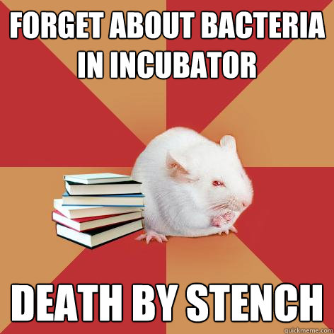 Forget about bacteria in incubator  death by stench - Forget about bacteria in incubator  death by stench  Science Major Mouse