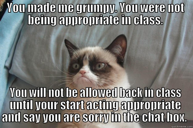 YOU MADE ME GRUMPY. YOU WERE NOT BEING APPROPRIATE IN CLASS. YOU WILL NOT BE ALLOWED BACK IN CLASS UNTIL YOUR START ACTING APPROPRIATE AND SAY YOU ARE SORRY IN THE CHAT BOX.  Grumpy Cat