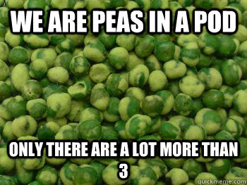 we are peas in a pod only there are a lot more than 3  