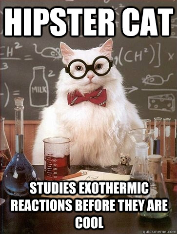 HIPSTER CAT STUDIES EXOTHERMIC REACTIONS BEFORE THEY ARE COOL  Chemistry Cat