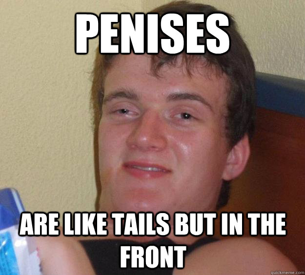 Penises are like tails but in the front - Penises are like tails but in the front  10 Guy