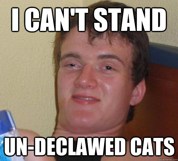 I can't stand Un-declawed cats  10 Guy