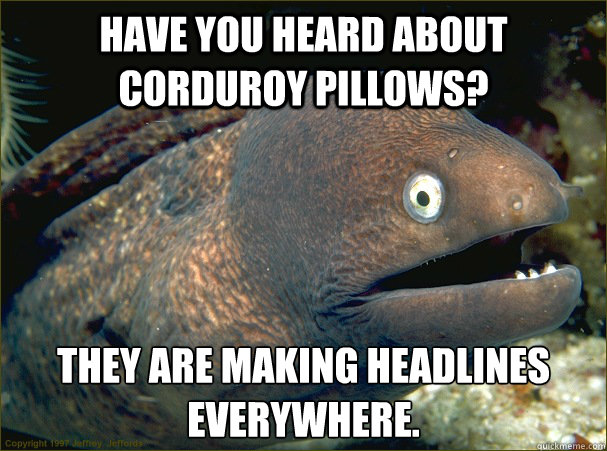 Have you heard about corduroy pillows? they are making headlines everywhere.   Bad Joke Eel