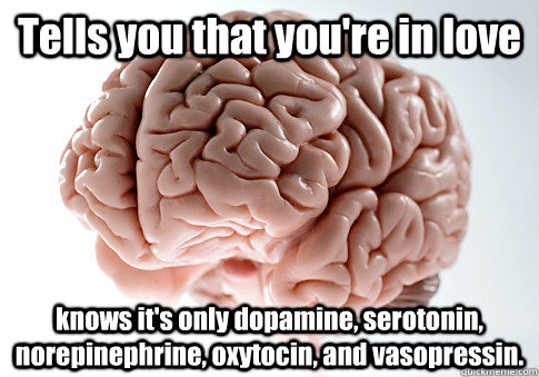 Tells you that you're in love knows it's only dopamine, serotonin, norepinephrine, oxytocin, and vasopressin. - Tells you that you're in love knows it's only dopamine, serotonin, norepinephrine, oxytocin, and vasopressin.  Scumbag Brain