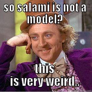 SO SALAMI IS NOT A MODEL? THIS IS VERY WEIRD.. Condescending Wonka