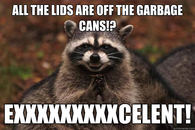 All the lids are off the garbage cans!? Exxxxxxxxxcelent!  Evil Plotting Raccoon