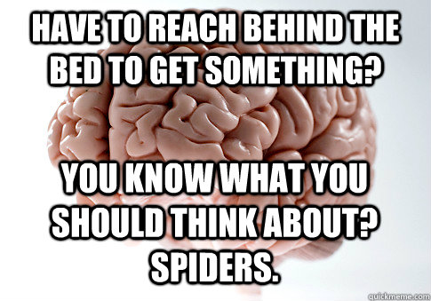 Have to reach behind the bed to get something? you know what you should think about? spiders.   Scumbag Brain