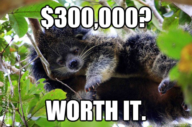 $300,000? Worth it.  Bearcat Meme