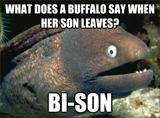 what does a buffalo say when her son leaves? bi-son  Bad Joke Eel