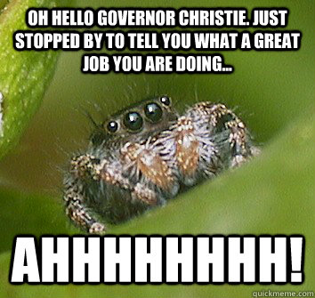 Oh hello Governor Christie. Just stopped by to tell you what a great job you are doing... AHHHHHHHH!  Misunderstood Spider