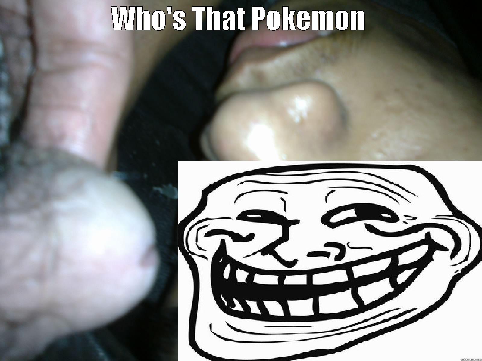 WHO'S THAT POKEMON  Misc