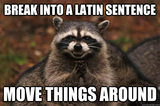 Break into a Latin sentence move things around  Evil Plotting Raccoon