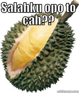 Durian Teknik sipil - SALAHKU OPO TO CAH??  Misc