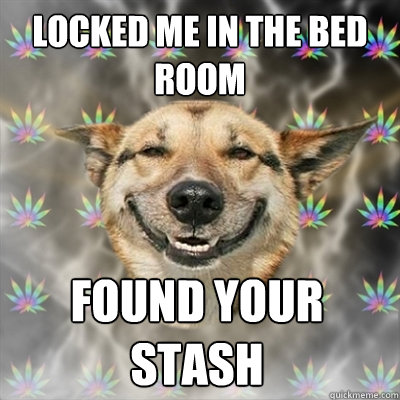 Locked me in the bed room found your stash  Stoner Dog