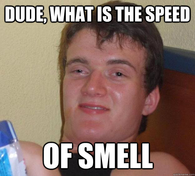 Dude, what is the speed of smell  10 Guy