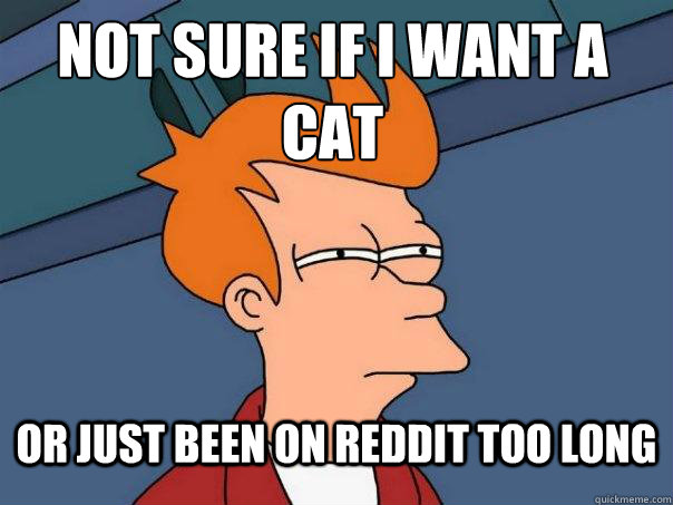 Not sure if I want a cat or just been on Reddit too long - Not sure if I want a cat or just been on Reddit too long  Futurama Fry