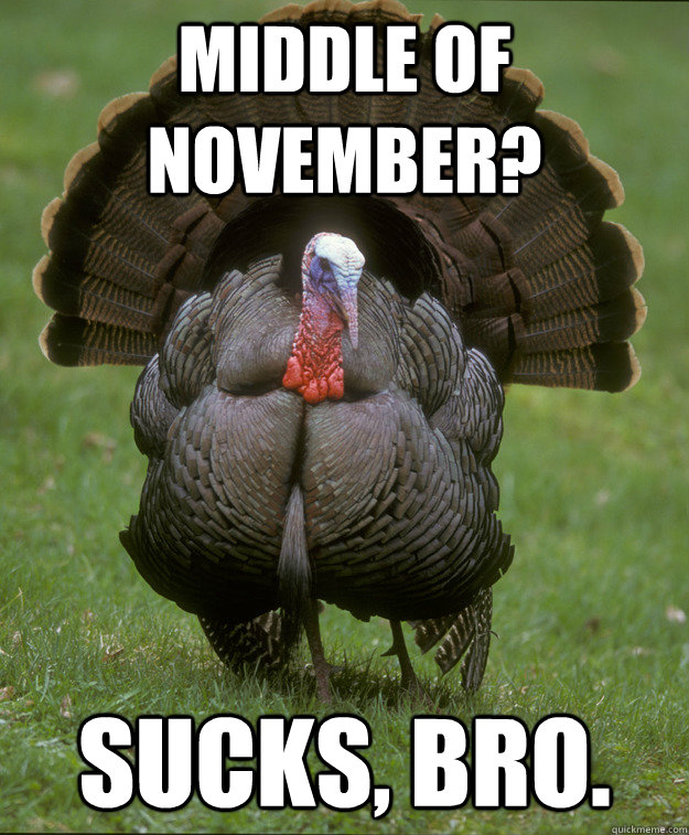 Middle of November? Sucks, bro. - Middle of November? Sucks, bro.  Sad Turkey