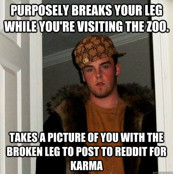 Purposely breaks your leg while you're visiting the zoo. Takes a picture of you with the broken leg to post to reddit for karma - Purposely breaks your leg while you're visiting the zoo. Takes a picture of you with the broken leg to post to reddit for karma  Scumbag Steve