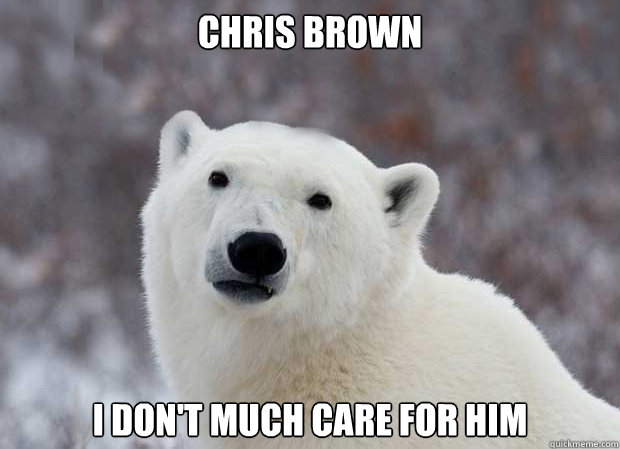 Chris Brown I don't much care for him  Popular Opinion Polar Bear