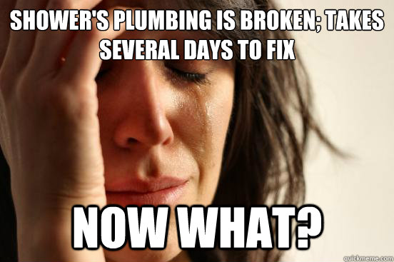 shower's plumbing is broken; takes several days to fix now what? - shower's plumbing is broken; takes several days to fix now what?  First World Problems