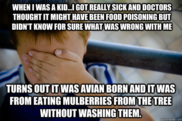 WHEN I WAS A KID...I got really sick and doctors thought it might have been food poisoning but didn't know for sure what was wrong with me turns out it was avian born and it was from eating mulberries from the tree without washing them.  Confession kid