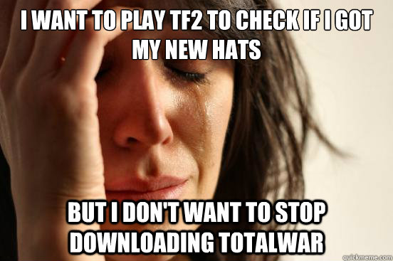 i want to play tf2 to check if i got my new hats but i don't want to stop downloading totalwar  First World Problems