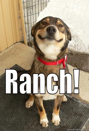  RANCH! Good Dog Greg