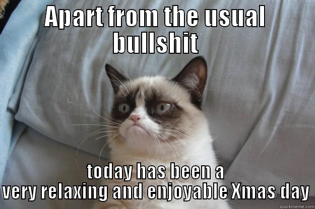 APART FROM THE USUAL BULLSHIT TODAY HAS BEEN A VERY RELAXING AND ENJOYABLE XMAS DAY Grumpy Cat