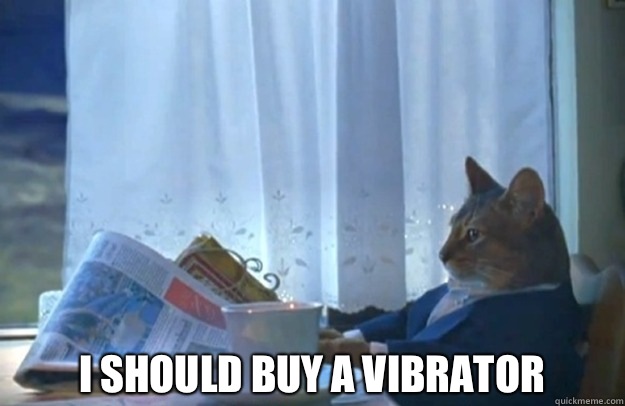  I should buy a vibrator   Sophisticated Cat