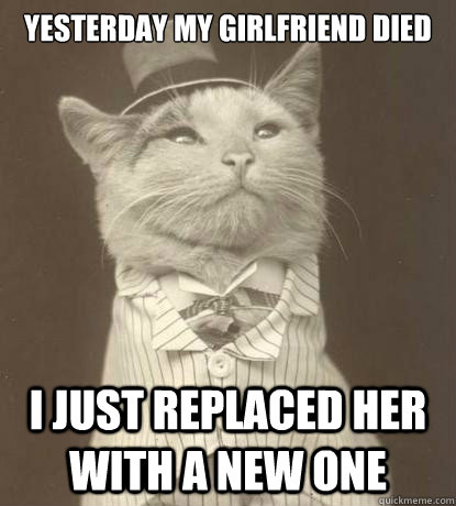 Yesterday my girlfriend died 
 I just replaced her with a new one  Aristocat