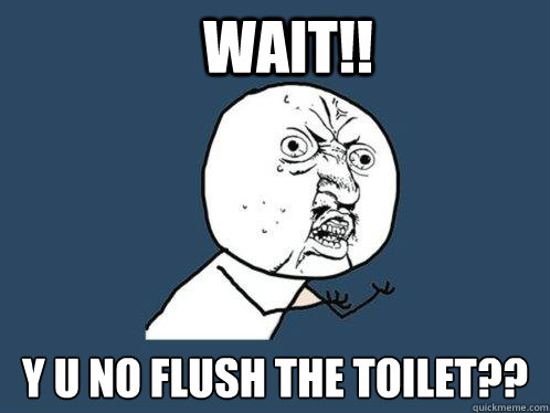 WAIT!! y u no FLUSH THE TOILET??  Y U No