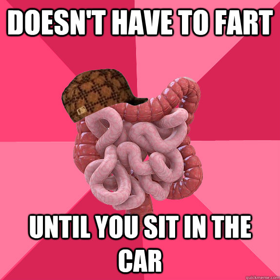 doesn't have to fart  until you sit in the car  Scumbag Intestines