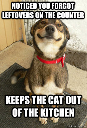 Noticed you forgot leftovers on the counter Keeps the cat out of the kitchen - Noticed you forgot leftovers on the counter Keeps the cat out of the kitchen  Good Dog Greg