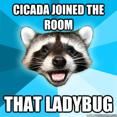 Cicada joined the room that ladybug - Cicada joined the room that ladybug  Lame Pun Raccoon