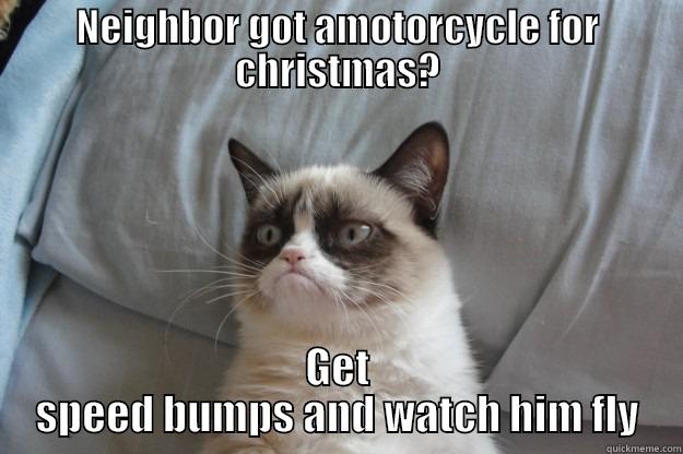 NEIGHBOR GOT AMOTORCYCLE FOR CHRISTMAS? GET SPEED BUMPS AND WATCH HIM FLY Grumpy Cat